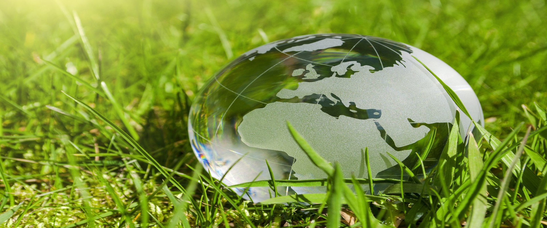 Glass globe in juicy grass
